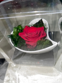 Preserved red rose (C)