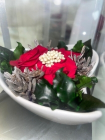 Preserved red rose arrangement (E)