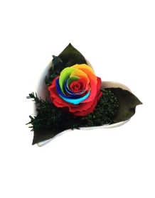 Preserved Rainbow rose heart (E)